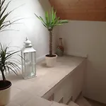 Schaefer Appartement *