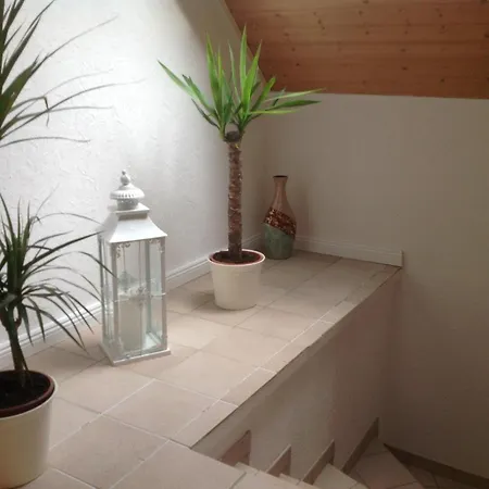 Schaefer Appartement *