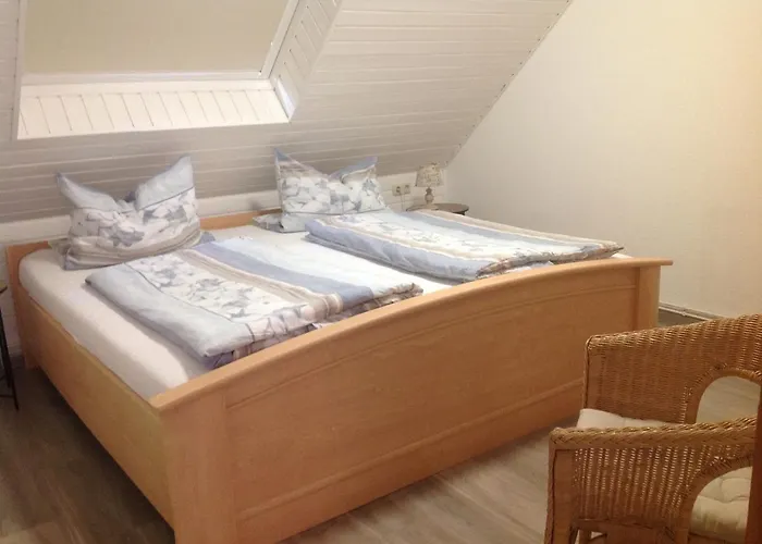 شقة Schaefer كاروليننسيل