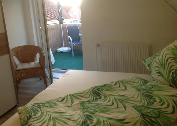 Schaefer * كاروليننسيل